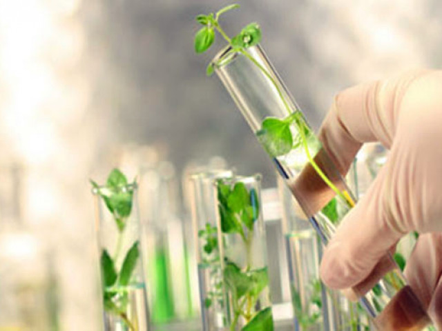 Preparazione esami Scienze Naturali