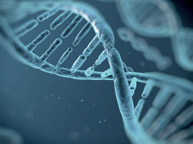 Ripetizioni Biologia